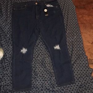 Plus High Waist Distressed Skinny Jean